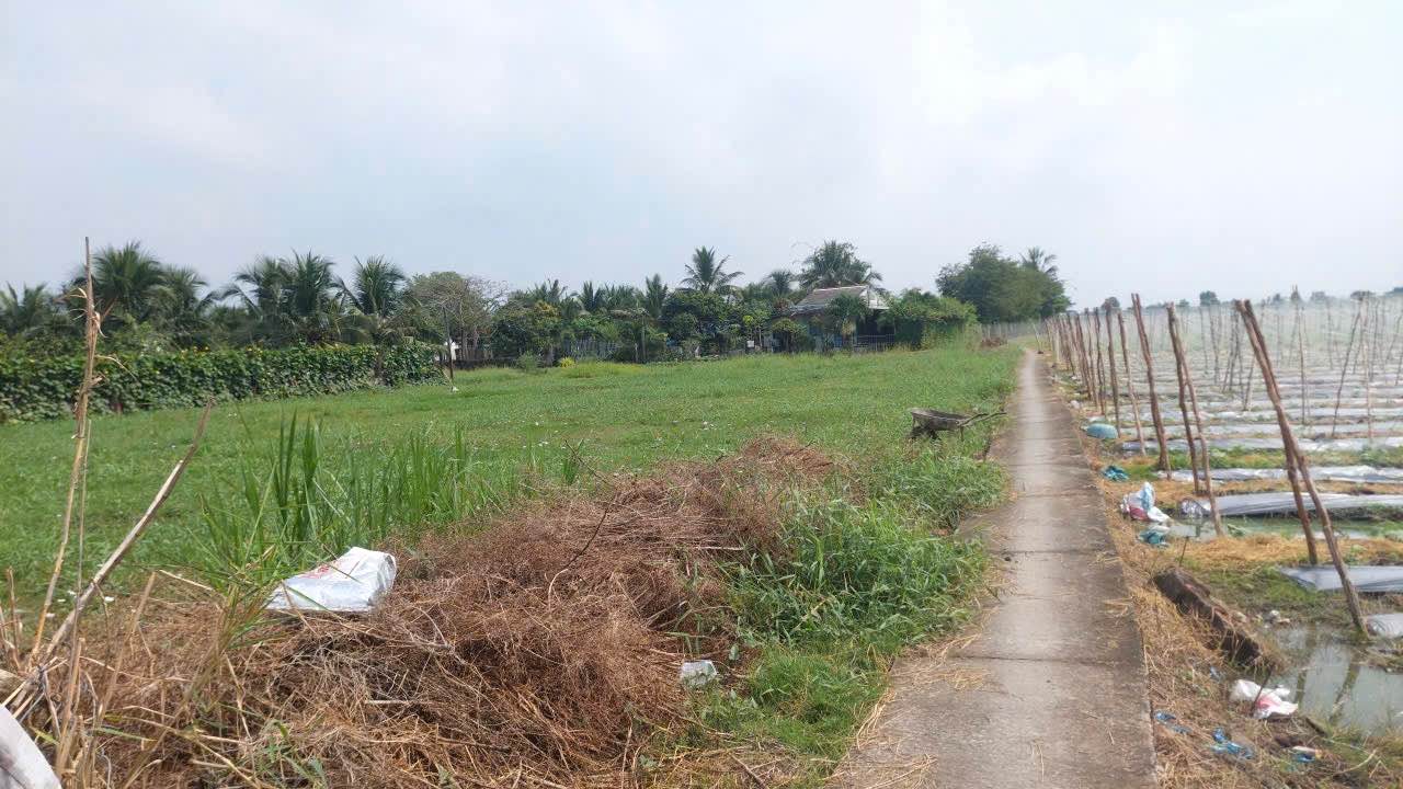 Đất thổ cư 150m² Tân An, Long An - Sổ hồng sẵn, giá 650 triệu