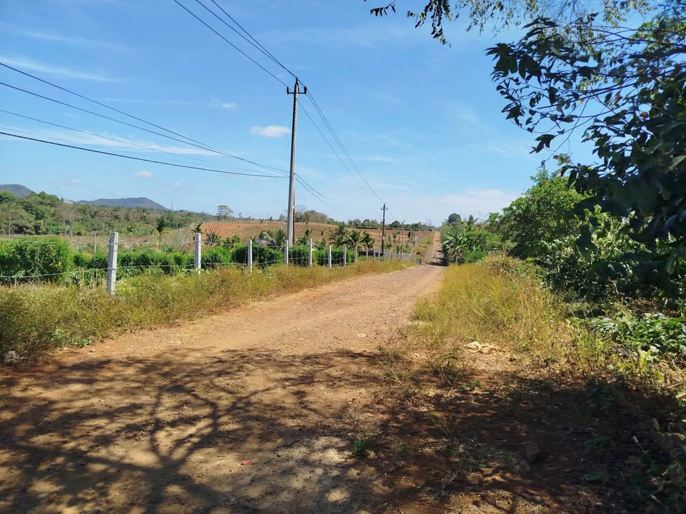 Đất Vườn Buôn Ma Thuột 6300m² - Sổ Đỏ Rõ Ràng, Tiềm Năng Sinh Lời Cao