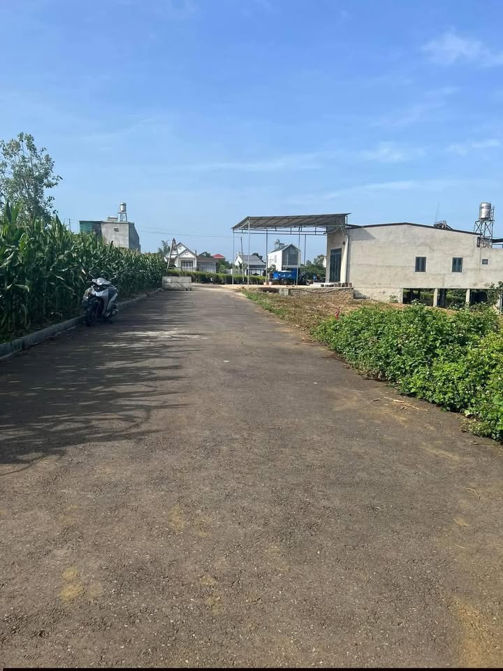 Đất Nền Bảo Lâm 1, Đắk Nông - 77m² Thổ Cư, Giá 750 Triệu