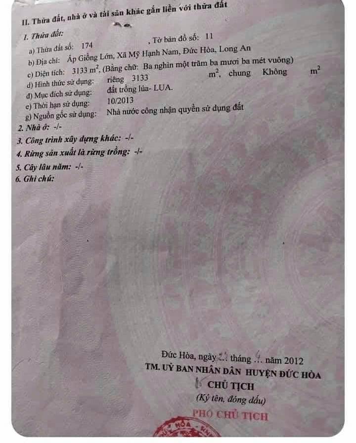 Đất Nền Đức Hòa 1000m² giáp TP.HCM - Tiềm năng tăng giá lớn!