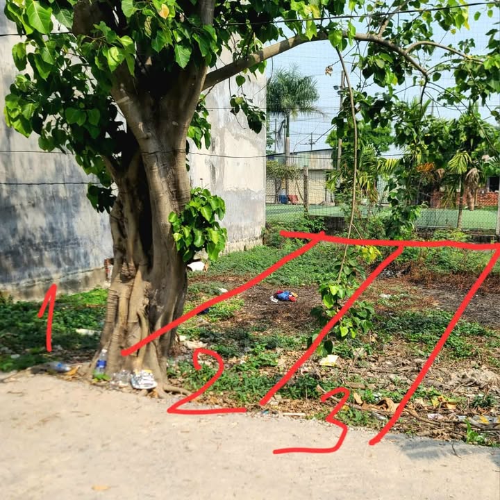 Đất Nền Đức Hòa 64m² 750 Triệu - Sổ đỏ chính chủ!