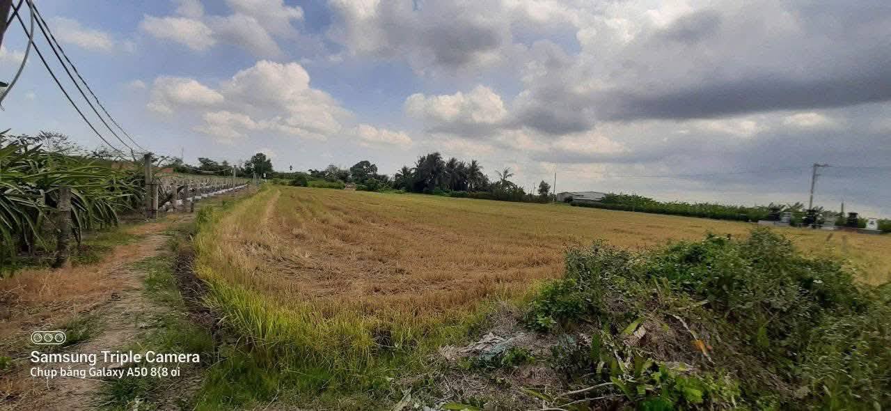 Đất Vườn Long An 6360m² - Nghỉ Dưỡng An Yên Giá 3.3 Tỷ