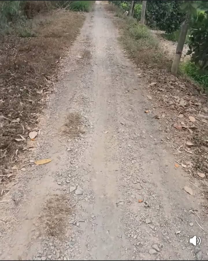 Đất Vườn 5000m² Đồng Tháp - Sổ Đỏ Sẵn Sàng, Giá Đầu Tư 260 Triệu