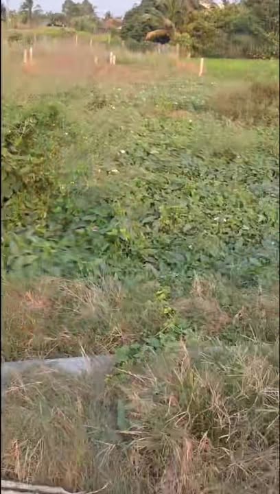 Bán Đất Tân Trụ Long An 165m² Sổ Hồng Sẵn Sàng - Giá 690 Triệu