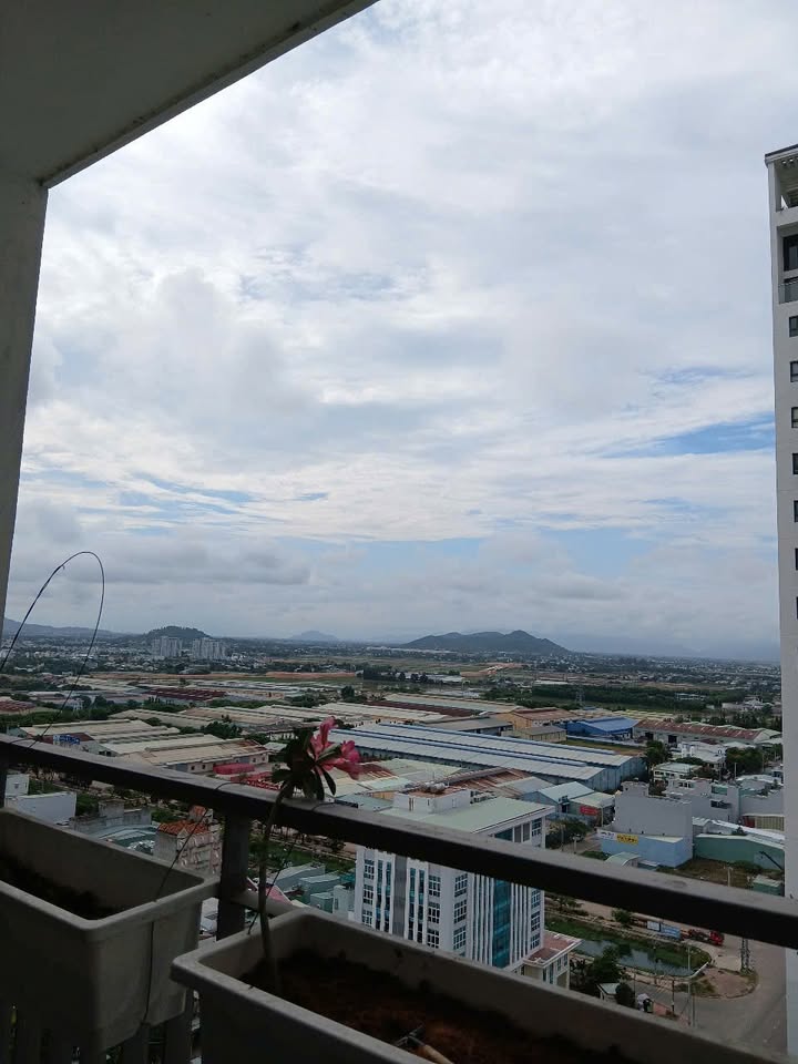 Cho thuê căn hộ Ecofi Quy Nhơn 2PN 5 triệu - Full nội thất dọn vào ngay