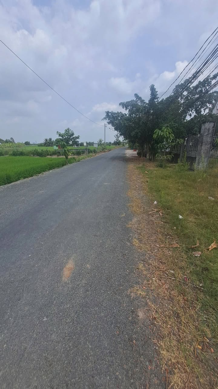 Nhà vườn Mỹ Bình Tân Trụ 906m² 3.2 tỷ - Sẵn sàng ở ngay