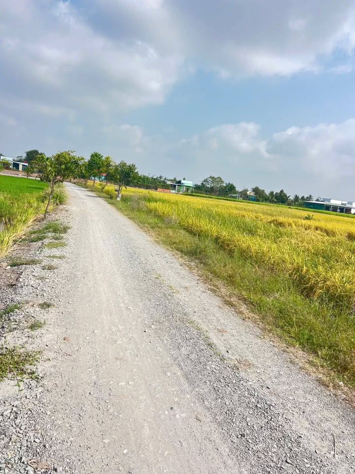 Đất nền Long Hòa, Châu Thành 195m² - Tiềm năng tăng giá vượt trội!