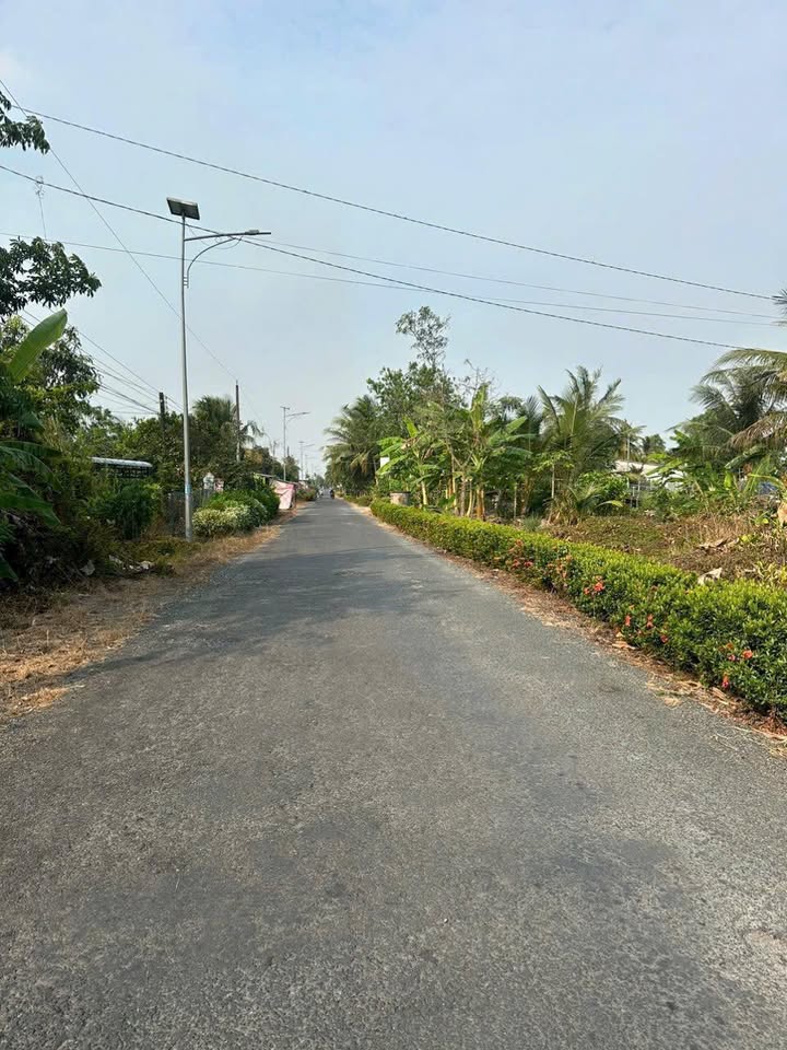 Đất Thổ Cư Vị Tân, Hậu Giang - 215m² Sổ Đỏ Giá Chỉ 399 Triệu