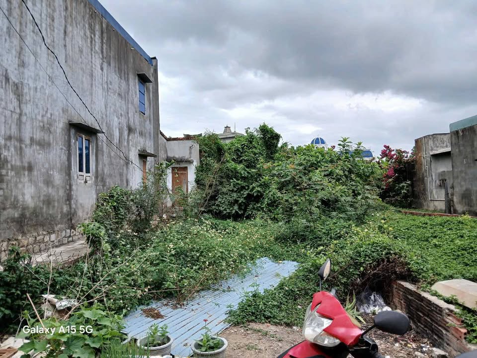 Đất thổ cư 90m² Phước Nghĩa, Bình Định - Sổ đỏ chính chủ, ô tô vào tận nơi