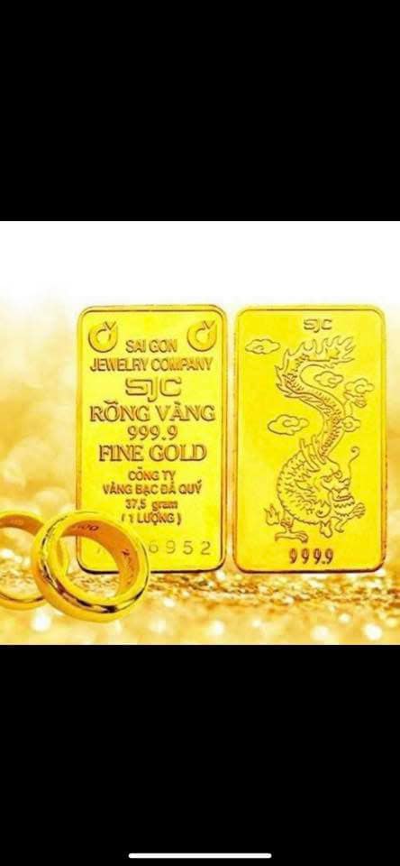 Bán Đất Lô Góc 45m² Phường Vũ Phúc, Thái Bình - Ô Tô Thông Tứ Ngả