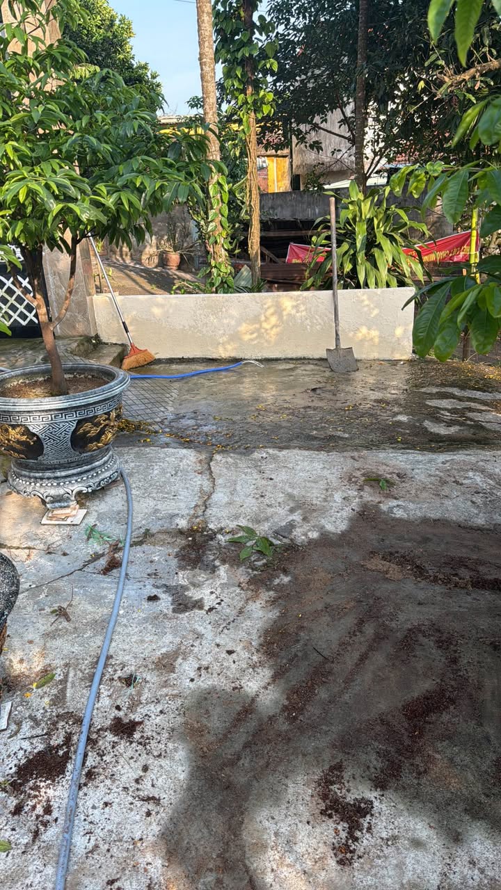 Đất nền Tân Hạnh, Cẩm Lệ 160m² - Sổ sẵn, nở hậu, ô tô thông