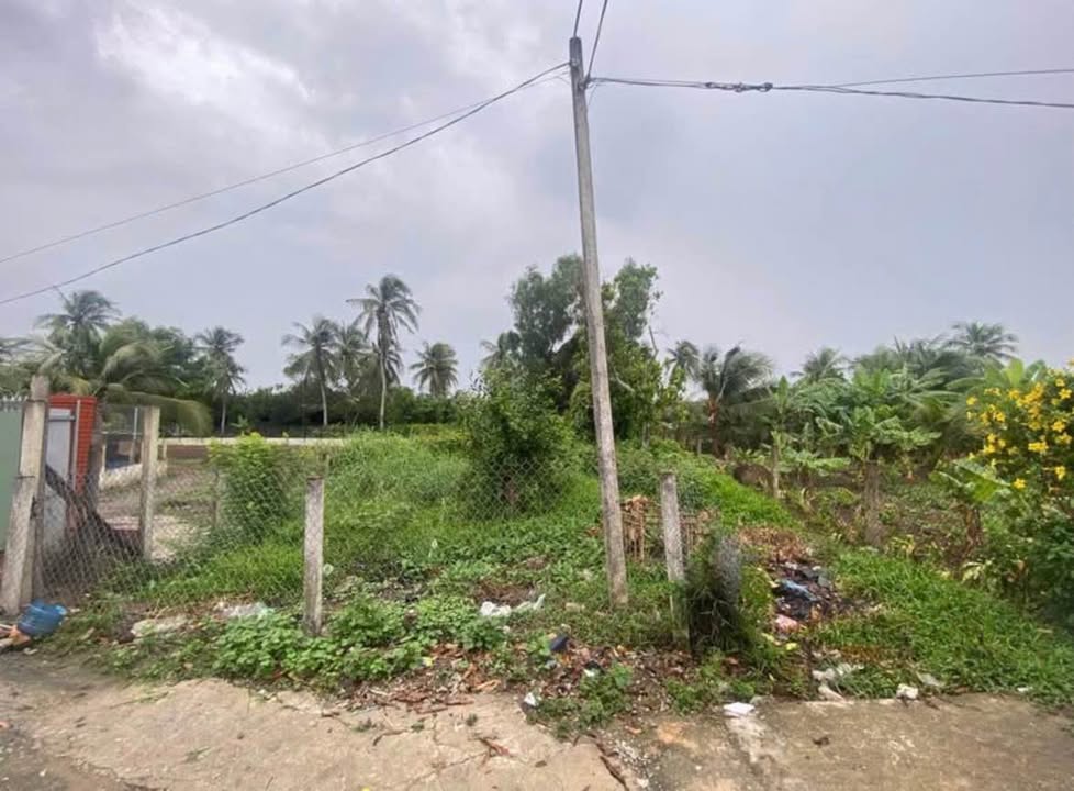 Đất Thổ Cư 120m² Thủ Thừa, Long An - Sổ Hồng Sẵn Sàng