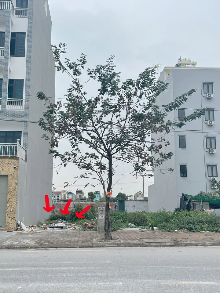 Đất nền Hạp Lĩnh, Bắc Ninh 100m² - Mặt tiền 5m, kinh doanh đắc lợi