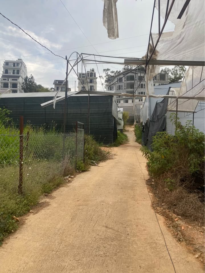 Đất nền Đường Vạn Kiếp Đà Lạt 72.5m² - Pháp lý rõ ràng!