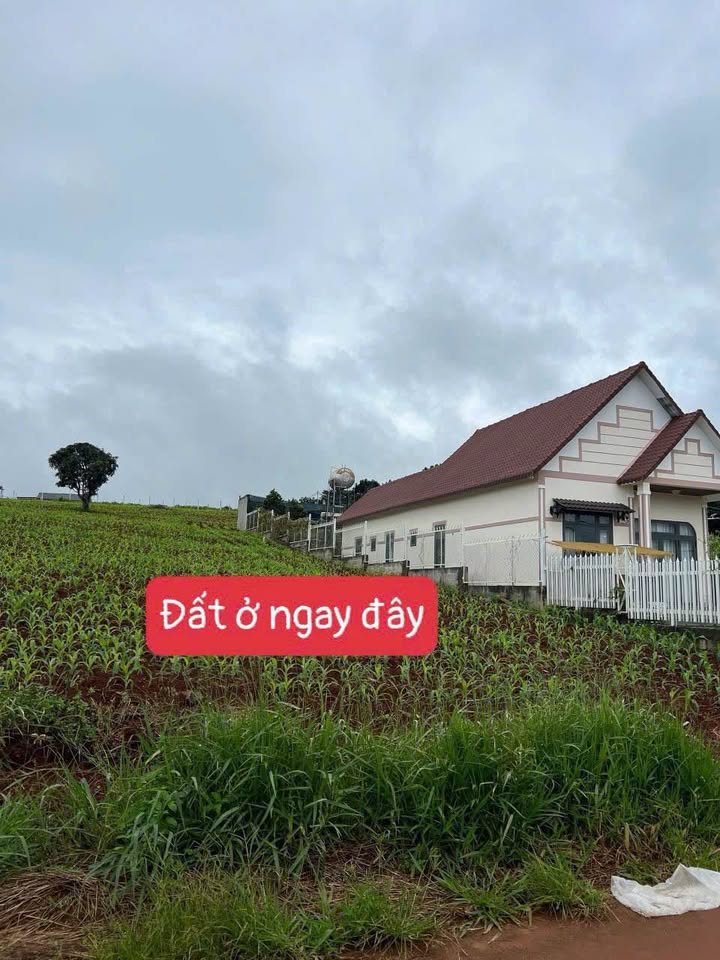 Đất nền Ven Đà Lạt 500m² giá 900 triệu - Xây dựng tự do!
