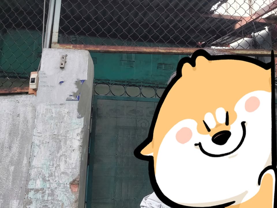 Nhà riêng Gò Vấp 78m² chỉ 5 tỷ - Vị trí đắc địa, Sổ hồng sẵn!