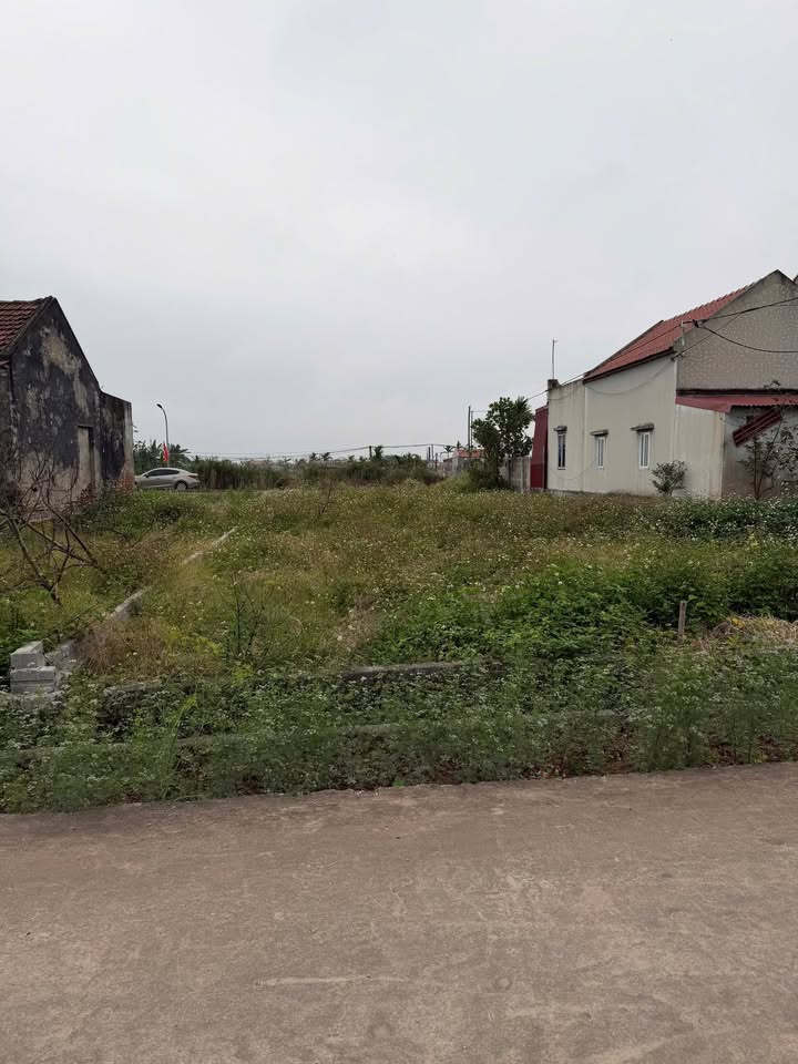 Bán Đất Thổ Cư 100m² Nam Điền, Nam Định - Sổ Đỏ Chính Chủ, Giá 780 Triệu