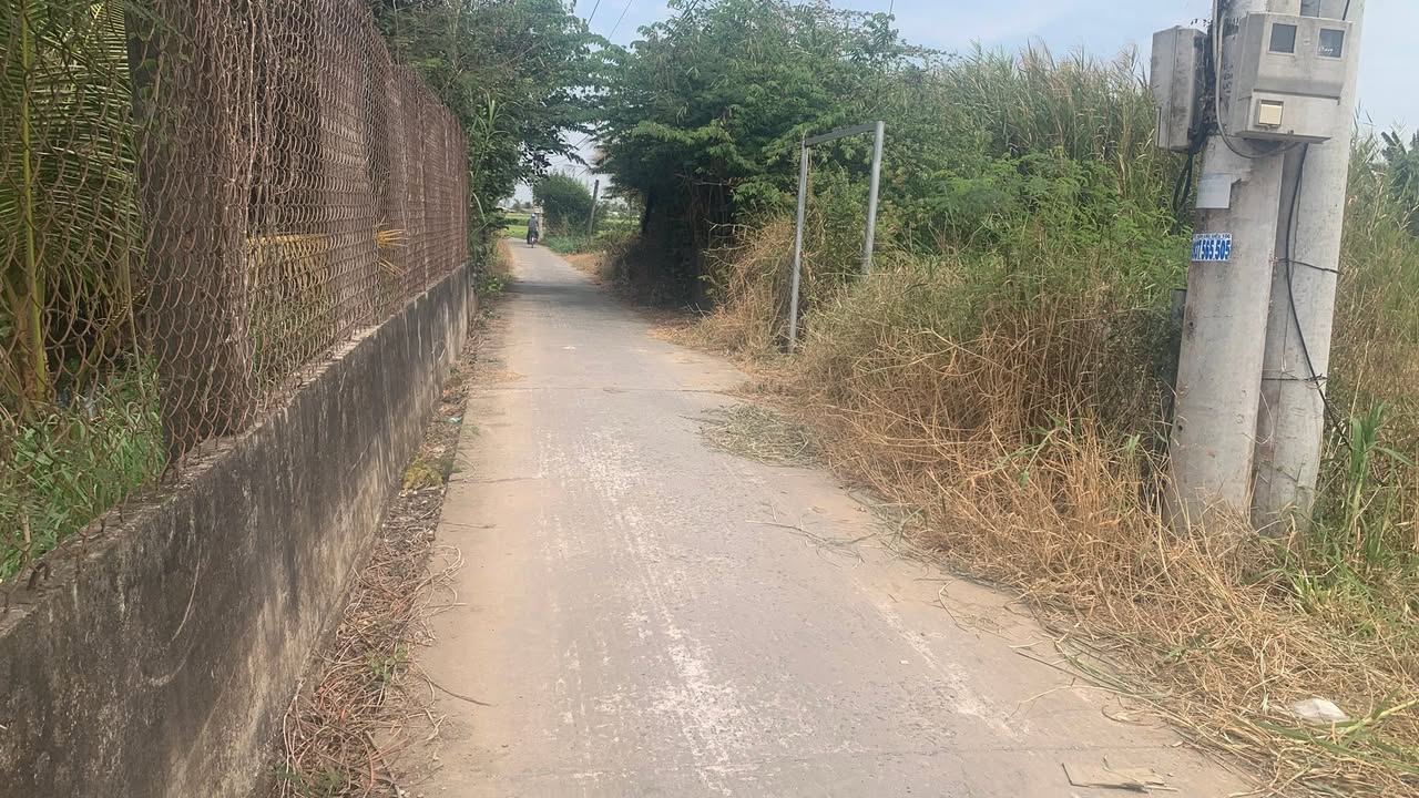 Đất nền Phước Trung 262m² - Sổ đỏ chính chủ, Giá chỉ 3xx triệu