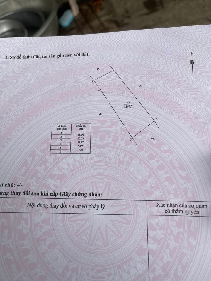 Bán Đất Nền Đồng Tháp 1267m² - Giá Đầu Tư Hấp Dẫn