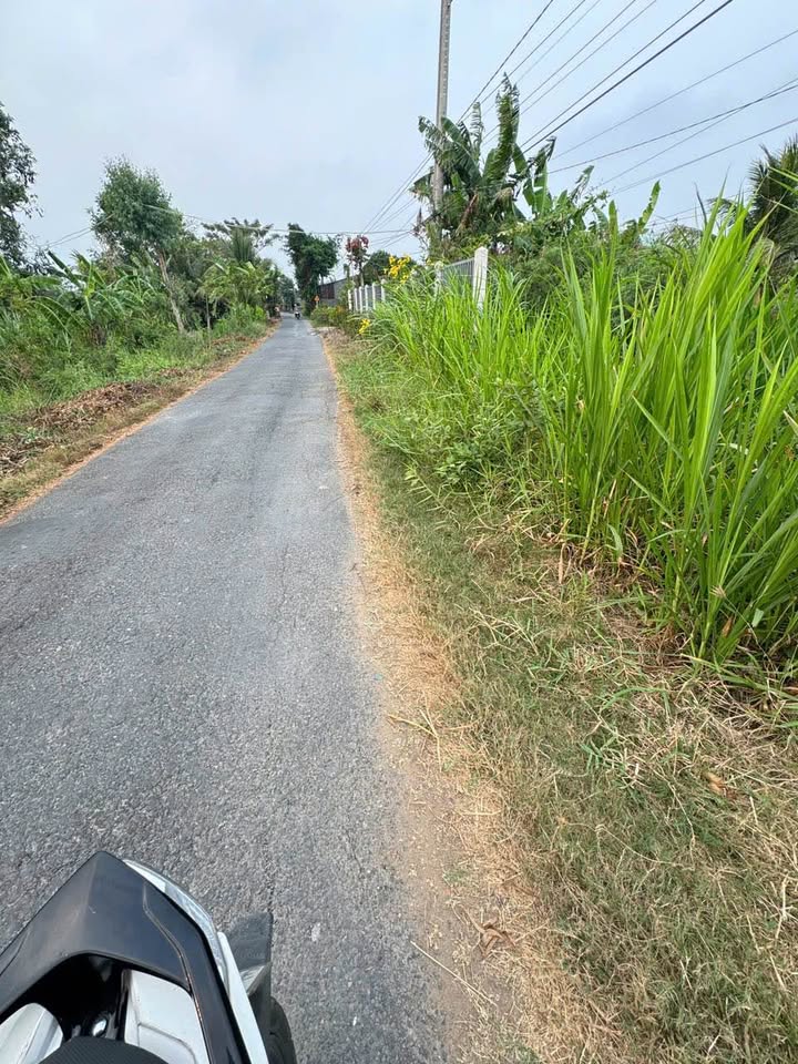 Đất nền Chợ Gạo 4400m² chỉ 690 triệu - Tiềm năng đầu tư lớn!