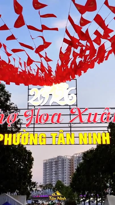 Đất nền Tây Ninh 150m² 1,166 tỷ - Sổ đỏ chính chủ