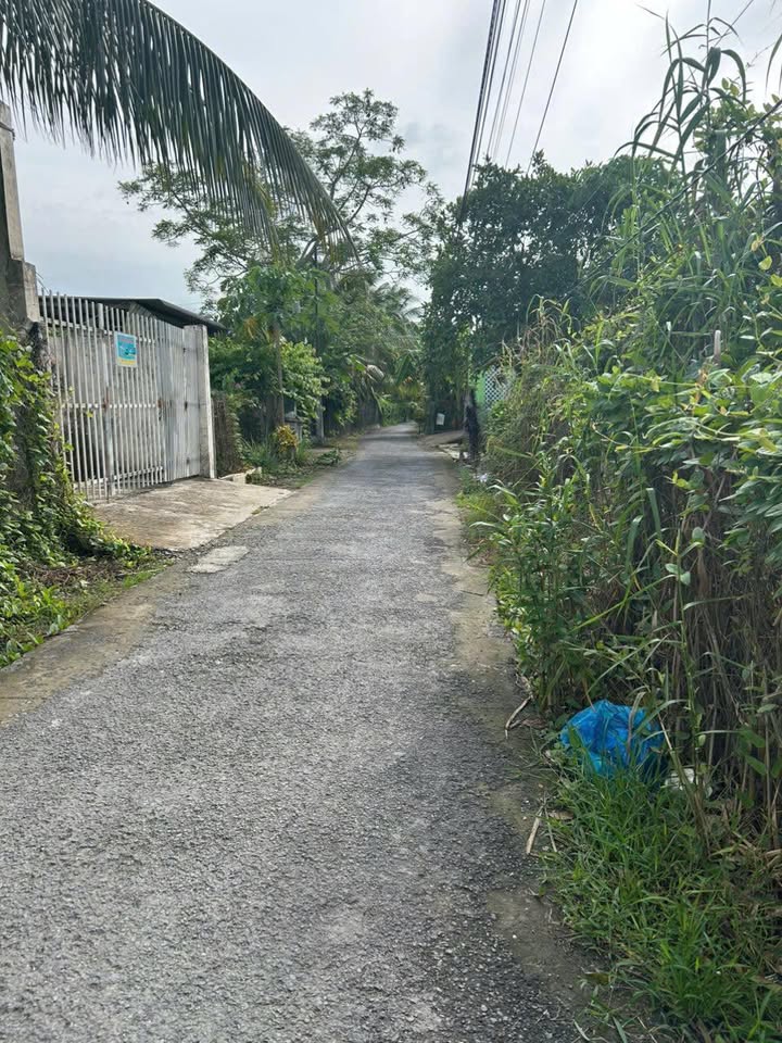 Bán Đất Nền Cái Bè, Tiền Giang 343m² - Sổ Đỏ Chính Chủ, Giá 1 Tỷ