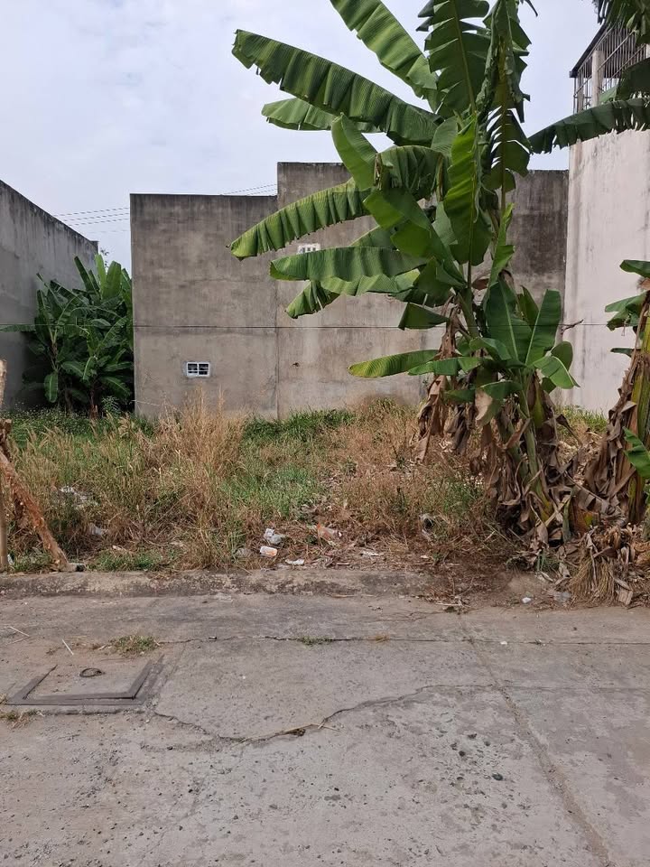 Đất nền KDC Xuyên Á, Đức Hòa 67m² - Sổ hồng sẵn, giá 1.48 tỷ