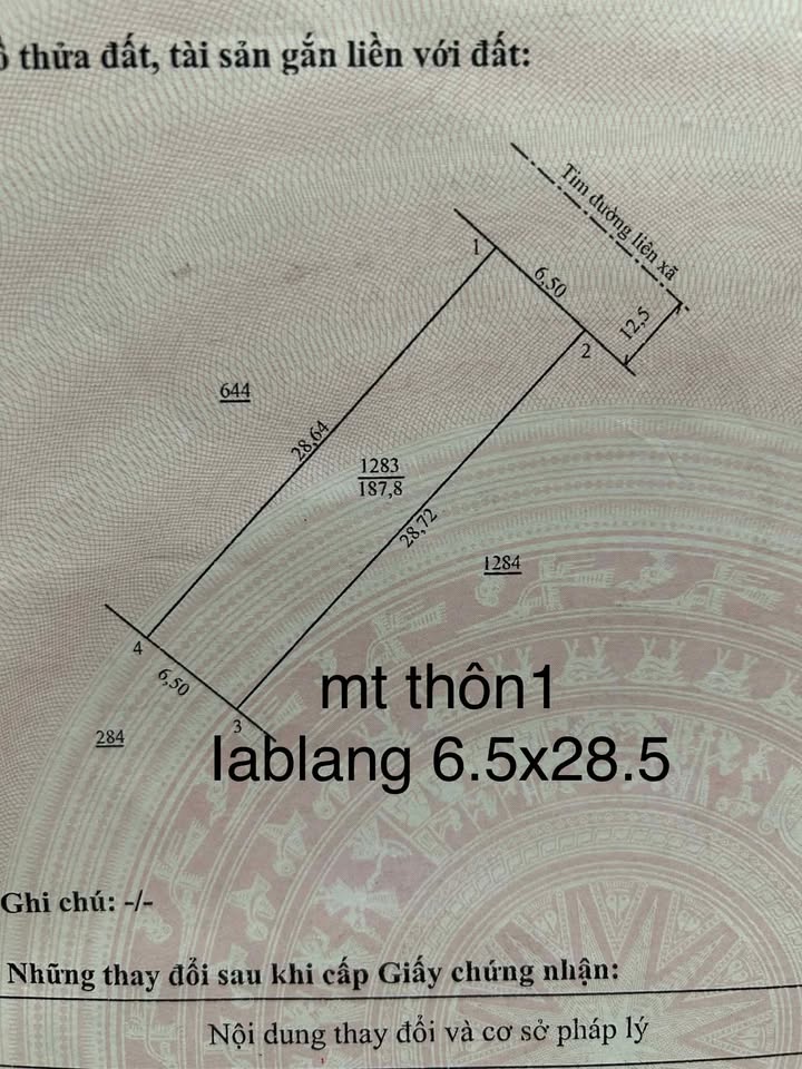 Đất nền Đường Quang Trung Chư Sê 185m² - Tiềm năng tăng giá vượt trội!