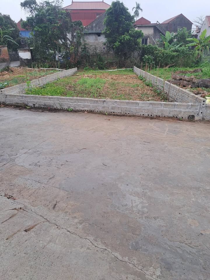 Đất nền Yên Tân 110m² - Đất thổ cư 100%, ô tô vào tận nơi!