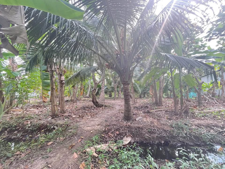 Đất Nền Long Tuyền Cần Thơ 1023m² Sổ Đỏ Chính Chủ