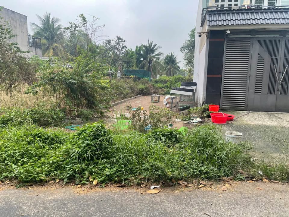 Đất nền Củ Chi 104m² giá 2.45 tỷ - Sổ đỏ chính chủ, xây dựng ngay!