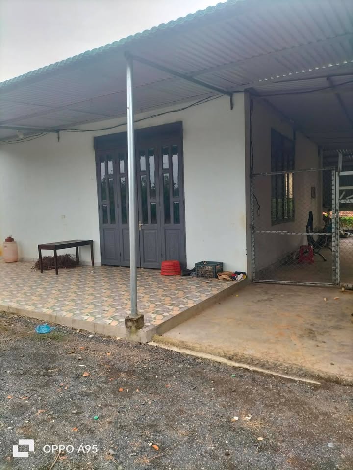 Đất Farm 1.2ha Tân Ninh, Đắk Nông - Chỉ 1.35 tỷ, Đầu tư dài hạn!