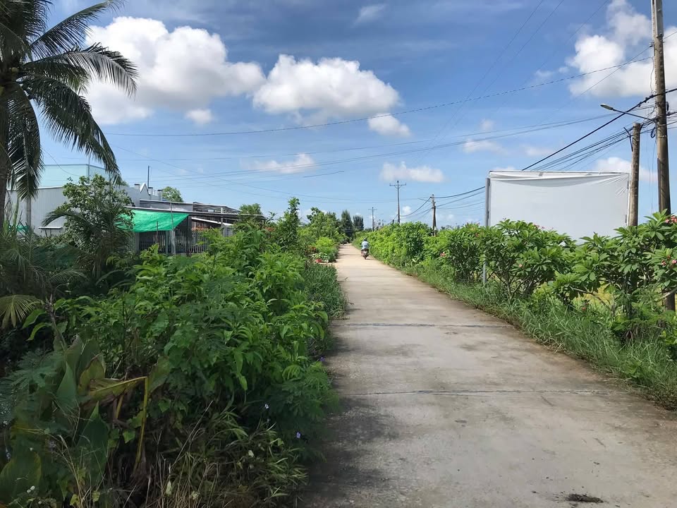 Đất nền Thào Lạng Bạc Liêu 1150m² - Đường ô tô, tiềm năng lớn!