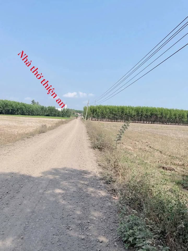 Đất Vĩnh Cửu Đồng Nai 1300m² Sổ Riêng Giá Tốt - Gần Nhà Thờ Thiện An