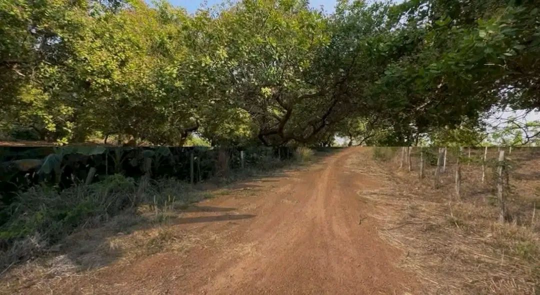 Bán đất farm 10.000m² mặt tiền đường 32m, Tân Tiến, Bù Đốp, Bình Phước - Giá 1 tỷ