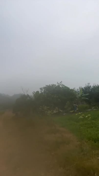 Đất vườn Đạ Kho Đạ Tẻh 1ha giá 500 triệu - Đầu tư sinh lời cao!