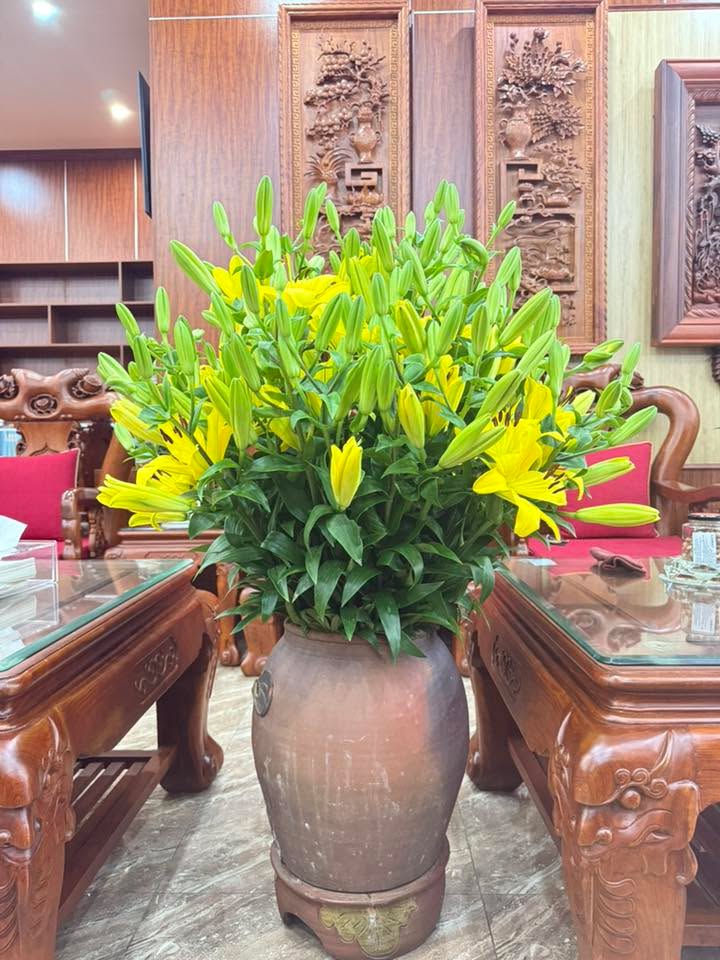 Bán Đất Dự án Anh Vũ 143m² Hướng Nam - Sổ Hồng Chính Chủ