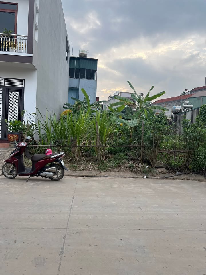 Đất nền An Châu, Sơn Động 87m² - Sổ đỏ chính chủ, tiềm năng sinh lời!