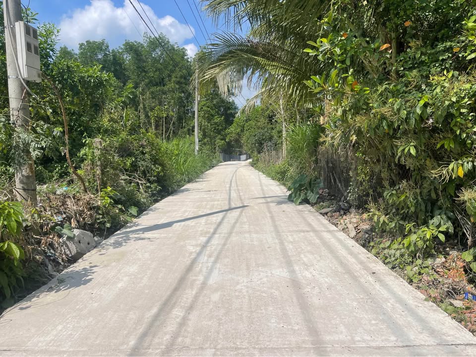 Đất Vườn Tam Ngọc 500m² - Sổ Đỏ Riêng, Ô Tô Tới Nơi - Giá Chỉ 1.1 Tỷ