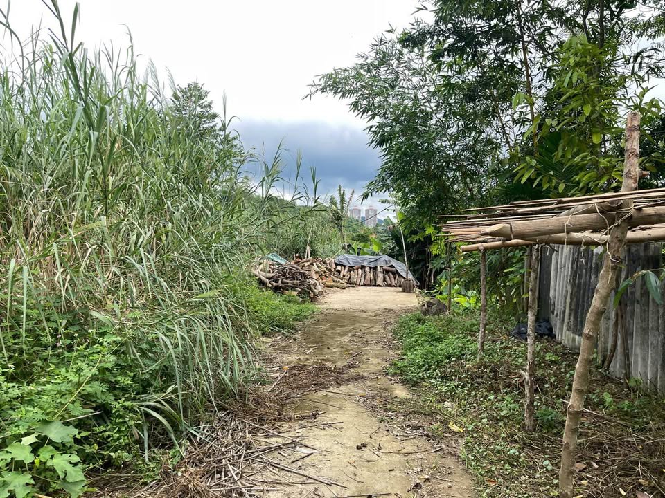 Đất nền Lào Cai 100m² - Sổ đỏ sẵn sàng, hướng Đông Nam mát mẻ