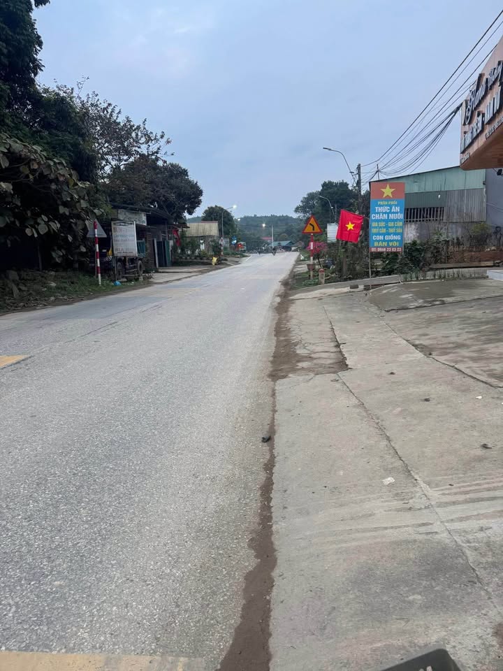 Đất nền Quốc lộ 4E Gia Phú 250m² - Tiềm năng tăng giá vượt trội!