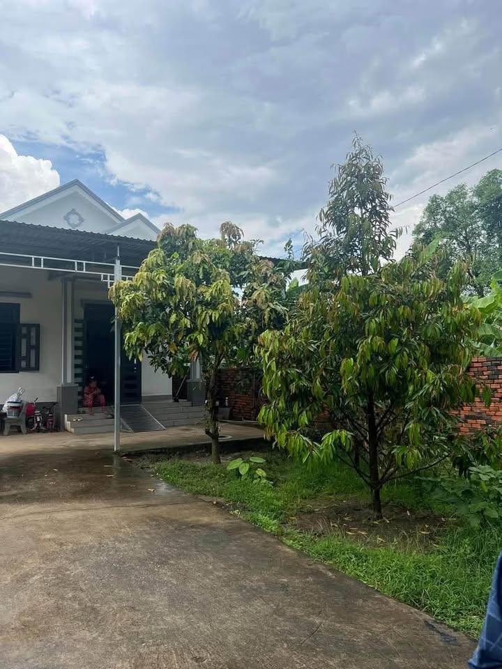 Nhà Sổ Đỏ An Linh, Phú Giáo 290m² - Giá 1.77 Tỷ, Kinh Doanh Tốt