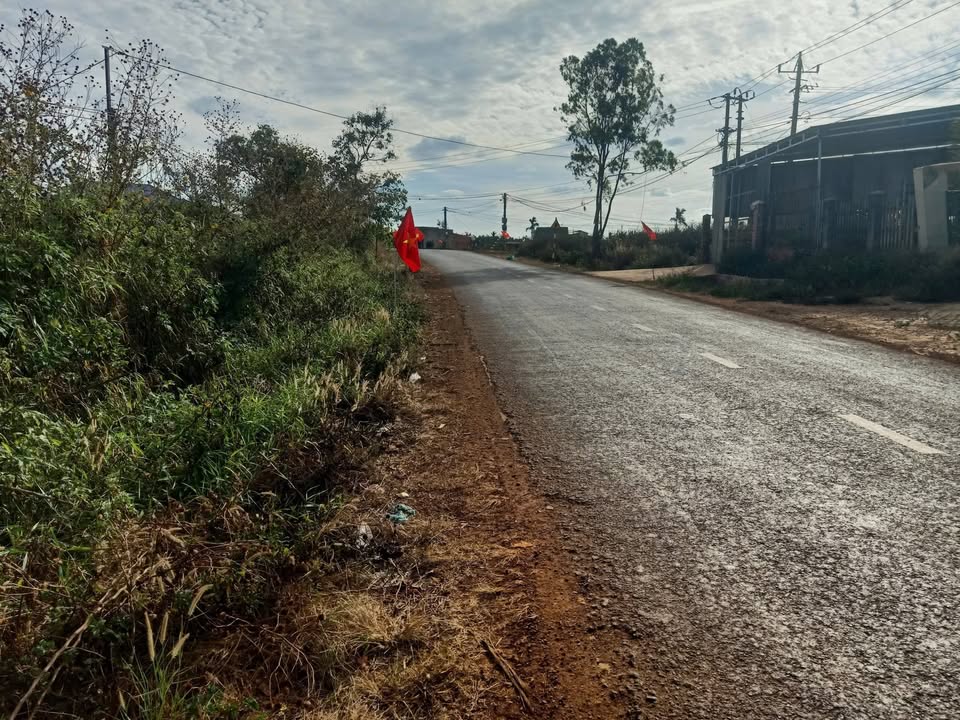 Đất Nền Buôn Mới Krông Búk 500m² - Lộc Phát Đầu Năm, Kinh Doanh Sinh Lời