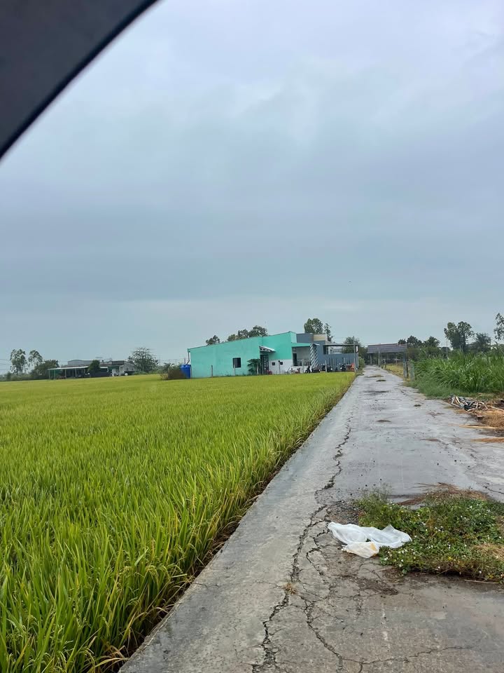 Đất nền Bình Tân Gò Công Tây 147m² - Thổ cư 100%, giá 390 triệu