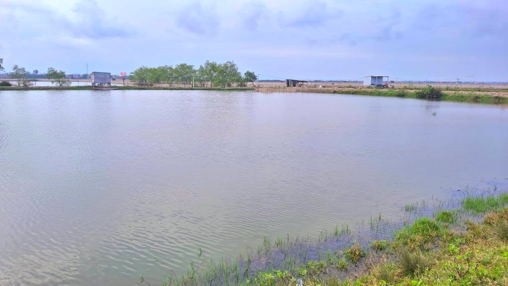 Đất nền Phú Thượng, Huế 136.4m² - Sổ hồng chính chủ, View phá thoáng mát