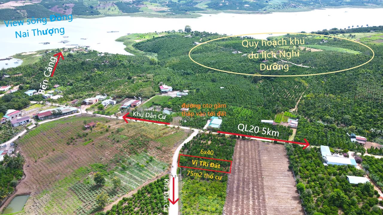 Đất Nền View Sông Đồng Nai, Di Linh 240m² - 480 Triệu Có Thổ Cư