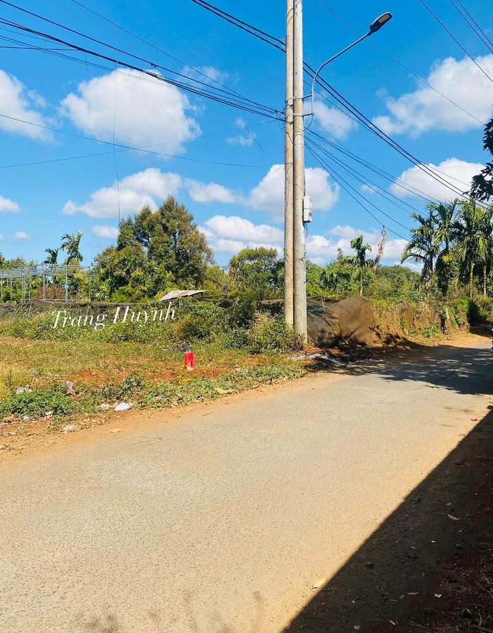 Bán Gấp 2 Lô Liền Kề 175m² Đại Lộ Đông Tây, Buôn Ma Thuột