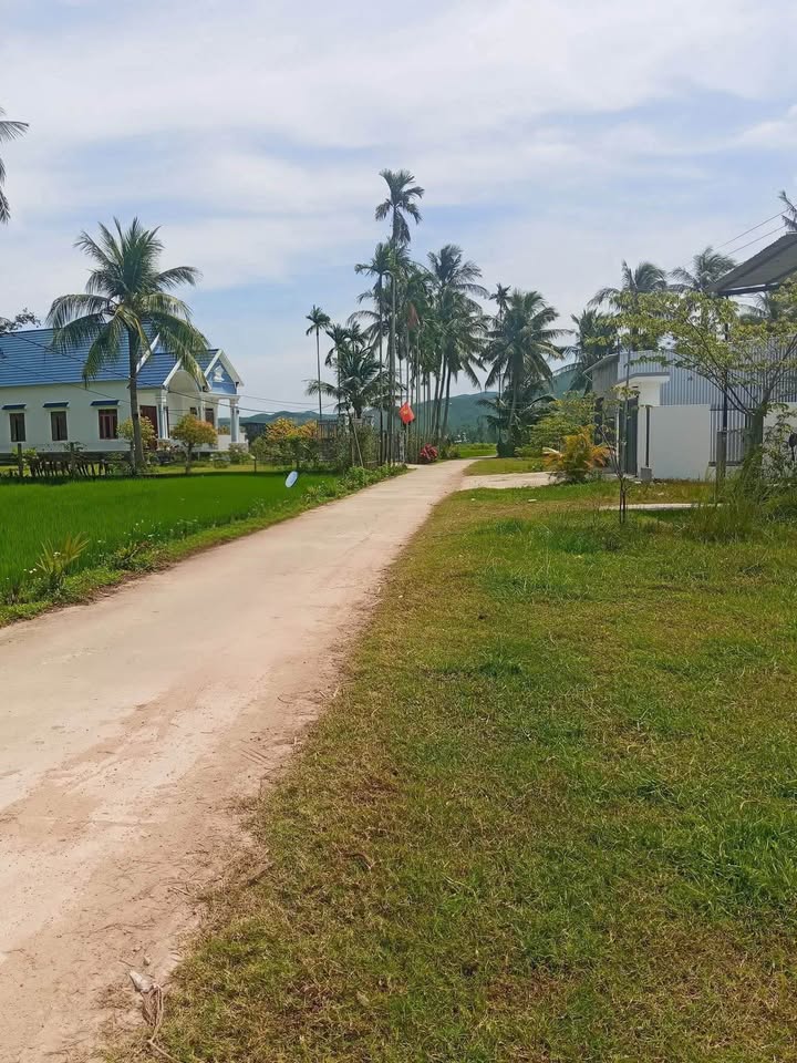 Đất nền Hoài Nhơn, Bình Định 192m² giá 700 triệu - Tiềm năng tăng giá!