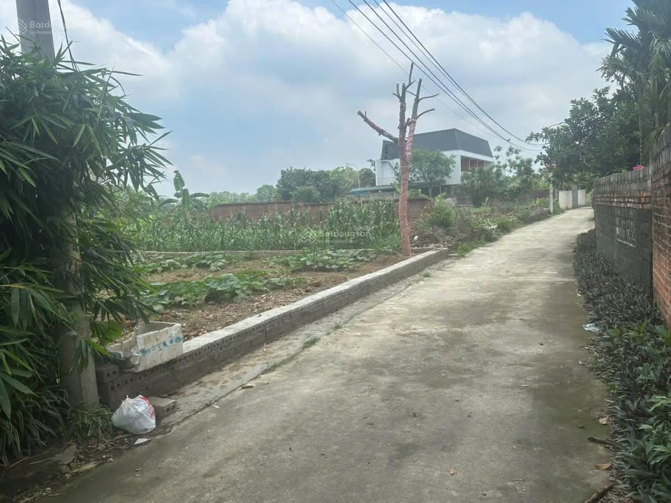 Bán đất Sơn Tây 360m² - Sổ đỏ chính chủ, xây biệt thự/nhà vườn