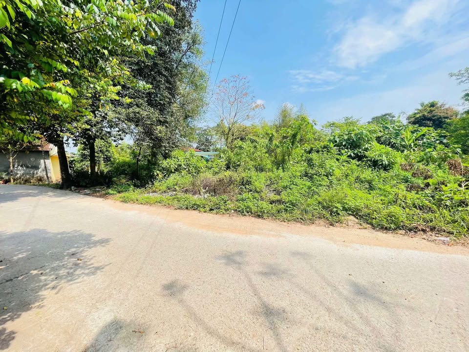 Đất nền Thích Tịnh Khiết, Huế 100m² - Sổ hồng sẵn, đường ô tô rộng!